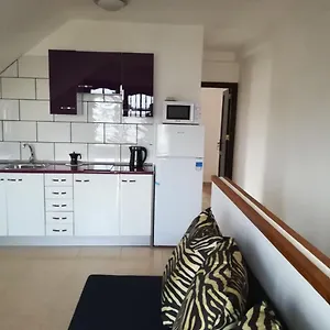 Caleta Alto Apartment